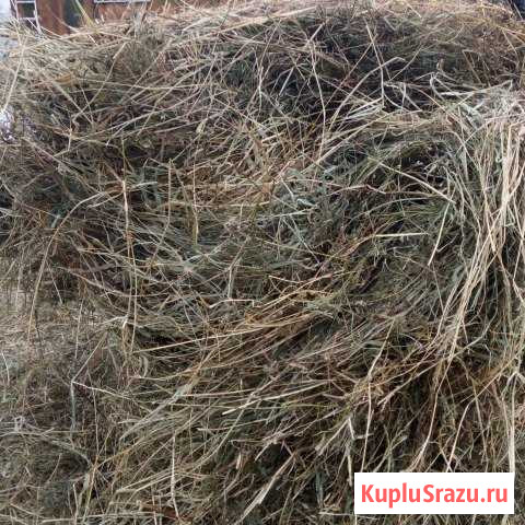 На сено обмен сельхоз птицы Киржач - изображение 1