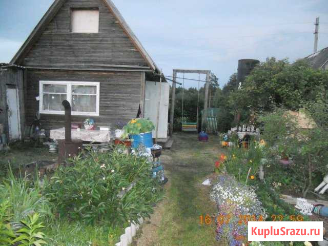  Кадуй - изображение 1