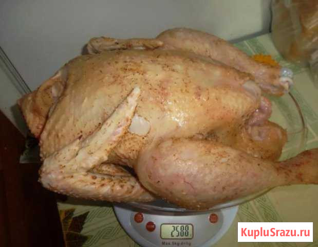 Домашнее мясо кур бройлера Калач - изображение 1