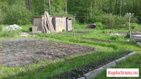  Кондопога