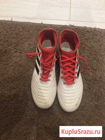 Adidas Predator Сыктывкар - изображение 1