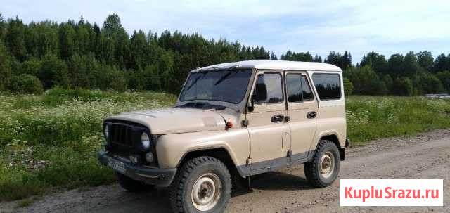 УАЗ 31514 2.4 МТ, 1995, внедорожник Чухлома - изображение 1