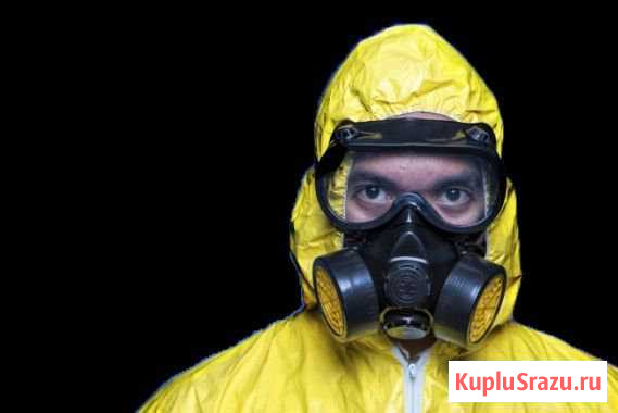 Уничтожим клопов тараканов блох муравьев короеда Орск - изображение 1