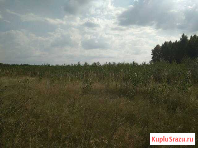  Курган - изображение 1