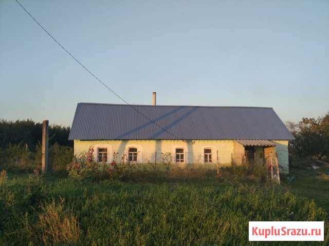 Дом 50 кв.м. на участке 50 сот. Долгоруково - изображение 1
