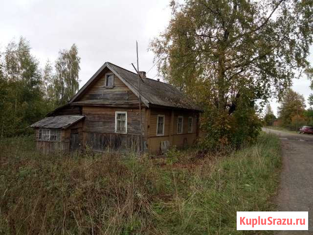  Любытино - изображение 1