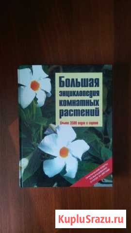 Большая энциклопедия комнатных растений Ростов - изображение 1