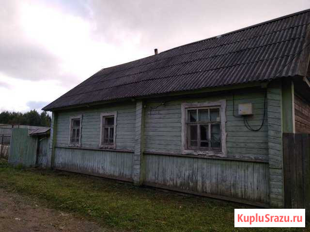 Дом 60 кв.м. на участке 39 сот. Андреаполь - изображение 1