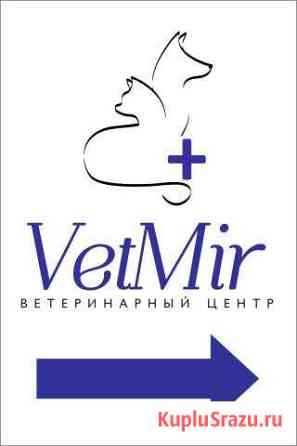 Ветеринарные услуги Сарапул