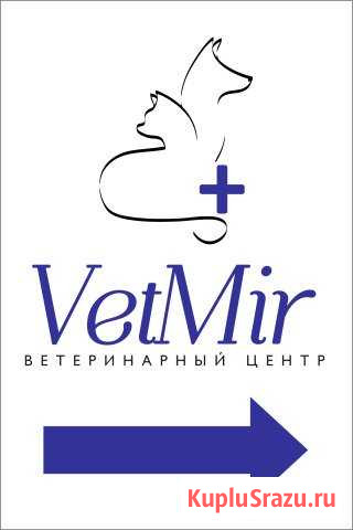 Ветеринарные услуги Сарапул - изображение 1