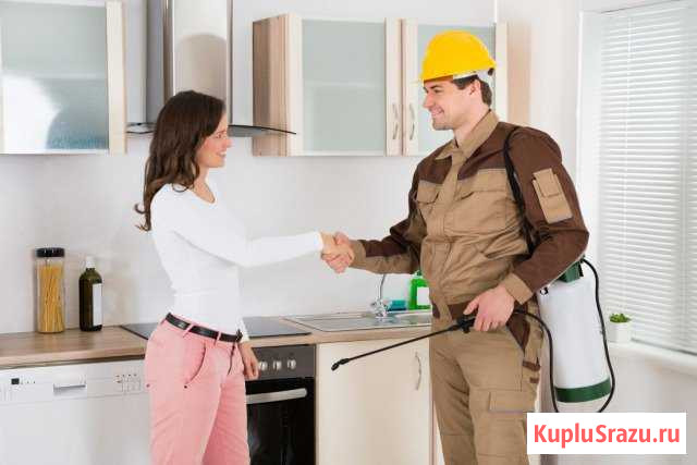 Уничтожение клопов и других насекомых.Дезинфектор Санкт-Петербург - изображение 1