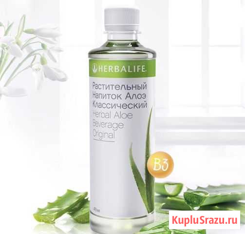 Гербалайф Herbalife растительный концентрат алое Ростов-на-Дону - изображение 1