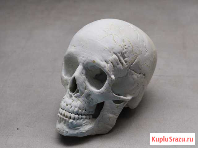 3d печать Дмитров - изображение 1