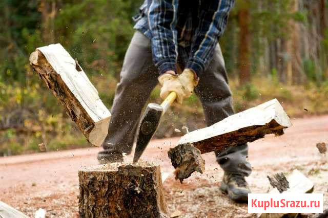 Дрова Сергиев Посад - изображение 1