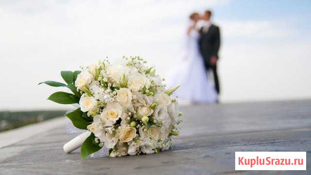 Профессиональная видеосъёмка Краснодар - изображение 1