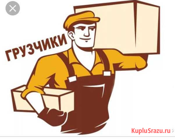 Грузчики Кострома - изображение 1