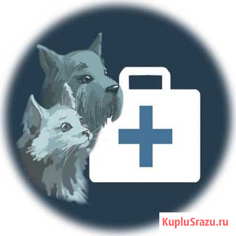 Семейный ветеринарный врач Кемерово - изображение 1