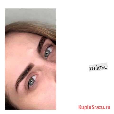 Бровист Москва - изображение 1