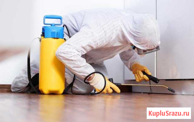Дезинфекция насекомых, грызунов, плесени, запаха Уфа - изображение 1