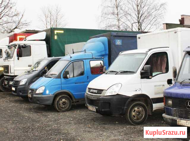 Грузоперевозки Бердск. Заказ Газели Бердск - изображение 1
