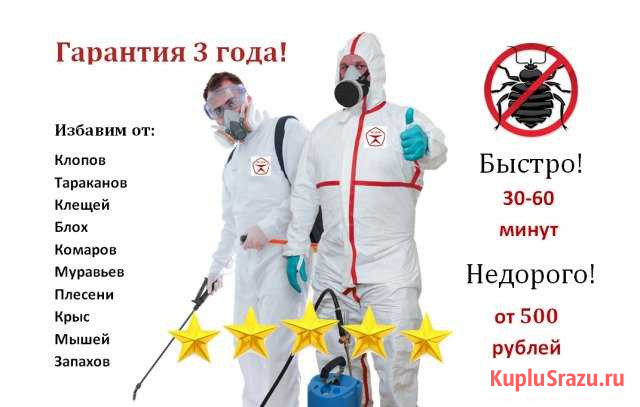 Уничтожение клопов, тараканов, клещей, насекомых Москва - изображение 1