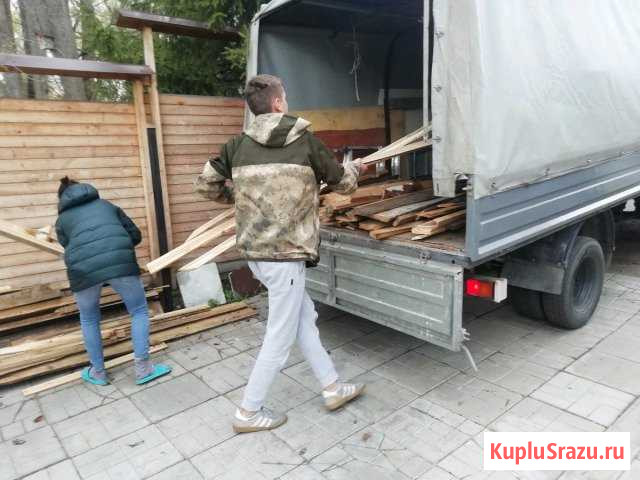 Вывозим мусор в день обращения Щёлково - изображение 1