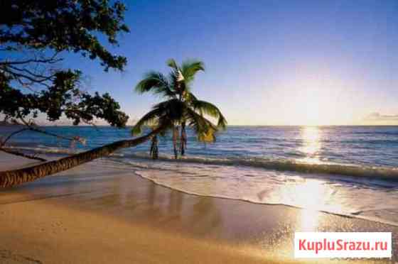 Тайский язык с нуля Санкт-Петербург