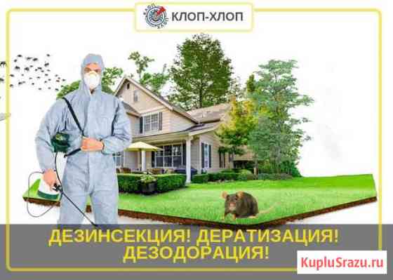 Дезинфекция. Уничтожение клопов, тараканов, клещей Москва