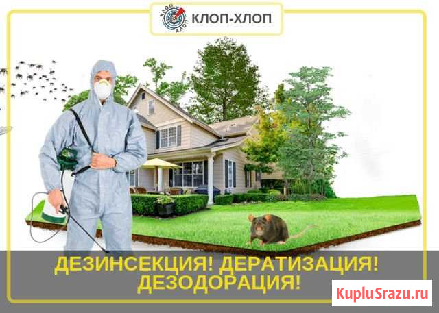 Дезинфекция. Уничтожение клопов, тараканов, клещей Москва - изображение 1