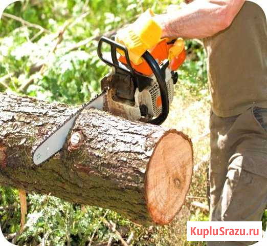 Спил деревьев Шаховская - изображение 1