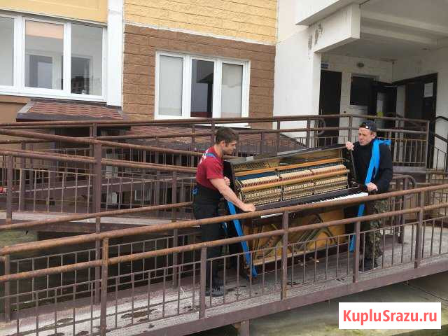 Грузчики Новороссийск - изображение 1