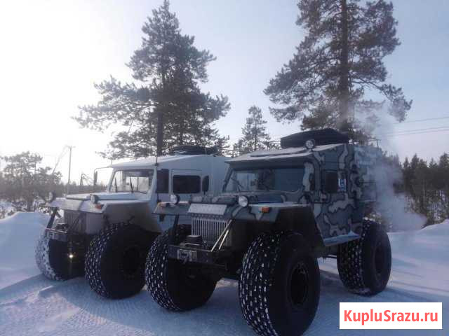 Услуги и аренда вездехода Олимп и Трэкол Новый Уренгой - изображение 1