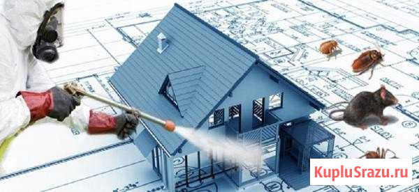 Клопов И тараканов нет. Травка насекомых Петропавловск-Камчатский - изображение 1