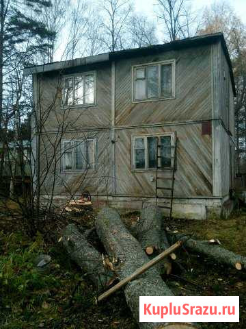 Спил деревьев Петрозаводск - изображение 1