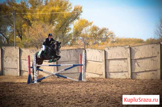 Тренировки по конному спорту Самара - изображение 1