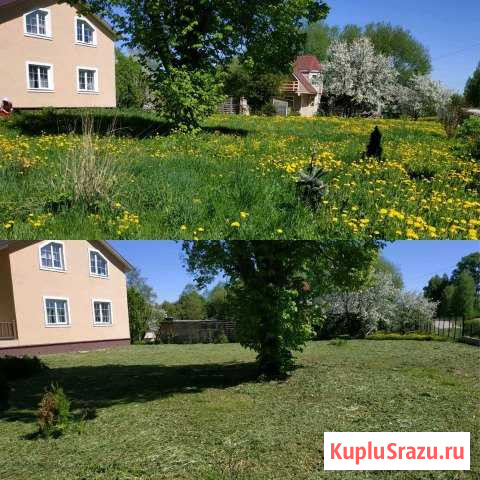 Покос травы и кустарника, помощь по хозяйству Волоколамск - изображение 1