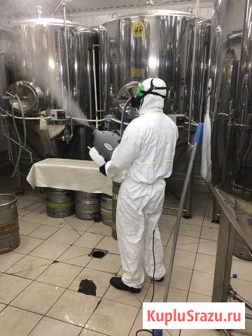 Уничтожение клопов тараканов крыс блох плесени Санкт-Петербург - изображение 1