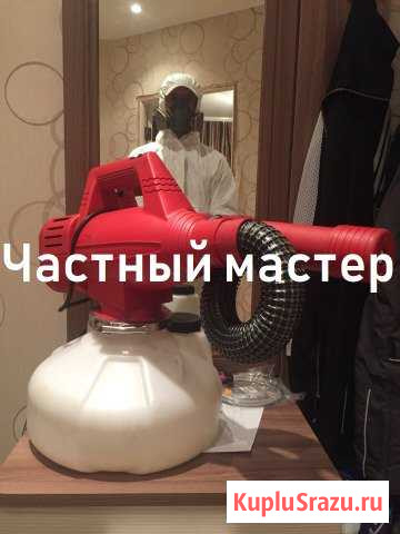 Дезинфекция. Уничтожение клопов в квартире Санкт-Петербург - изображение 1