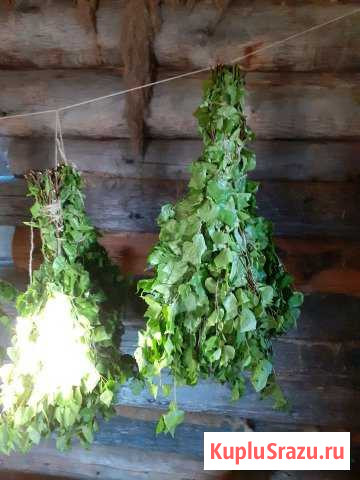 Берёзовые веники банные Новокузнецк - изображение 1