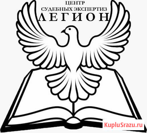 Аварийный комиссар Новочеркасск - изображение 1