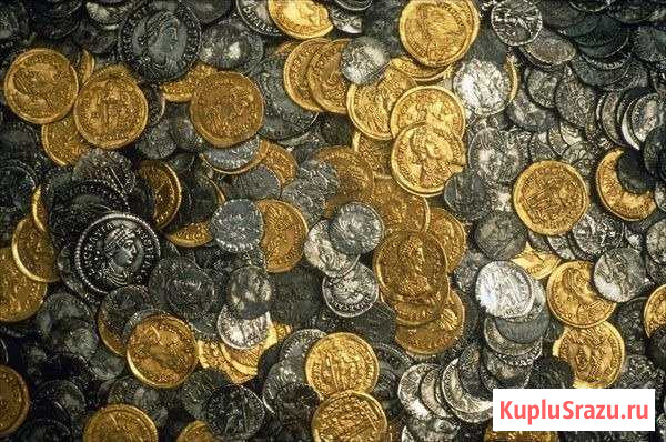 Металлоискатель Minelab, Garrett прокат Екатеринбург - изображение 1