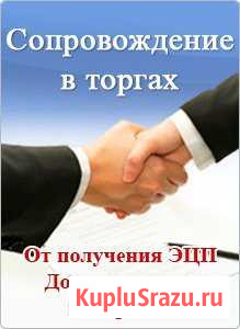 Подготовка заявки для участие в аукционе Казань - изображение 1