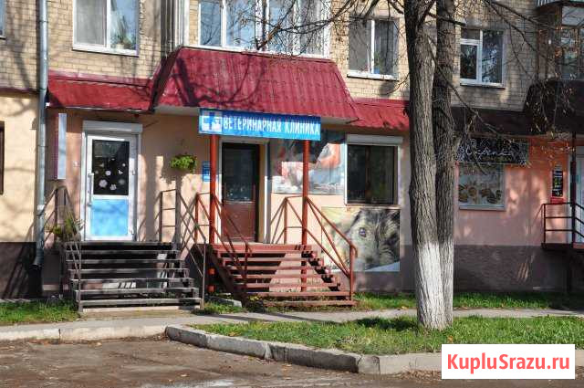 Ветеринарные услуги, ветпрепараты Аша - изображение 1