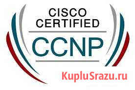 Администрирование сетевого оборудования Cisco Нижний Новгород - изображение 1