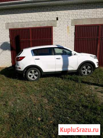 Коммерческие перевозки Армавир - изображение 1