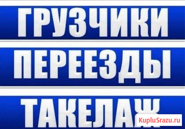 Грузчики. Переезды. Вывоз мусора Ульяновск - изображение 1