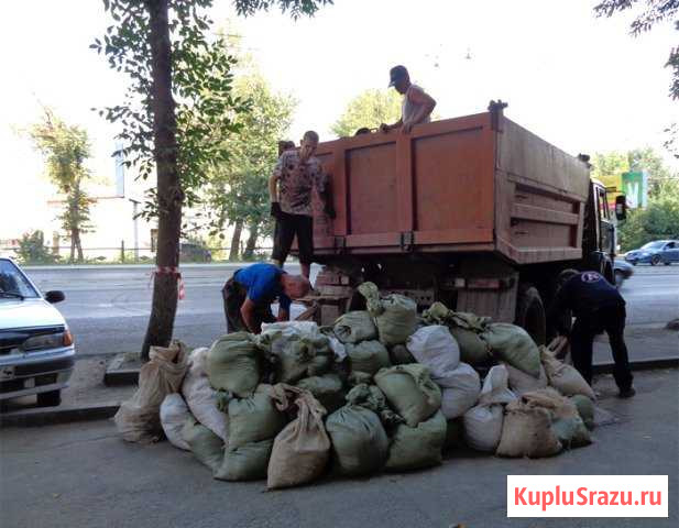 Вывоз мусора Воронеж - изображение 1