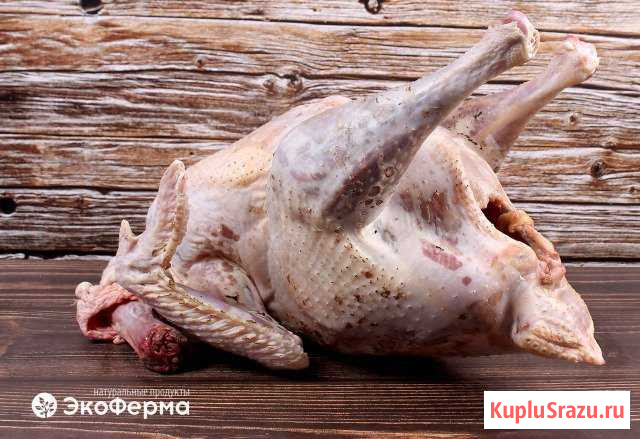 Мясо индейки Володарск - изображение 1