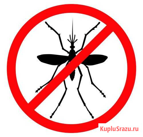 Противомоскитные сетки на окна и двери Астрахань - изображение 1
