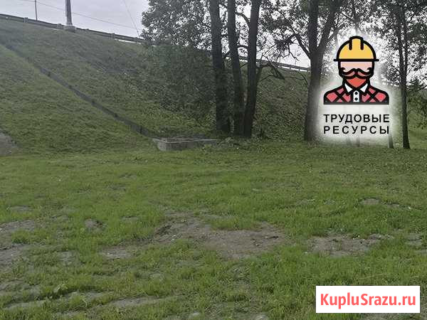 Покос травы Сертолово - изображение 1